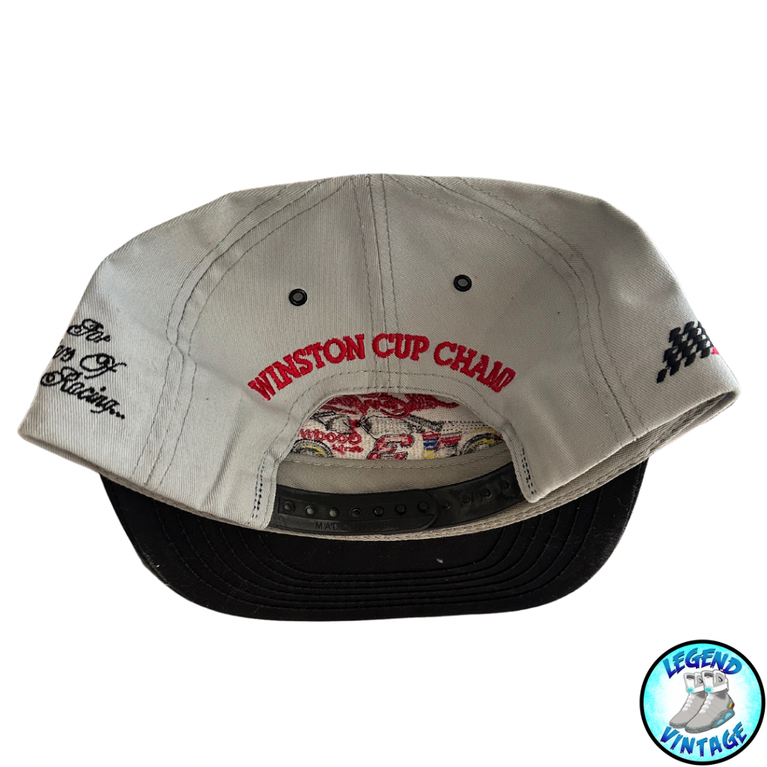 Dale NASCAR Hat Champ Grey